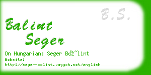 balint seger business card